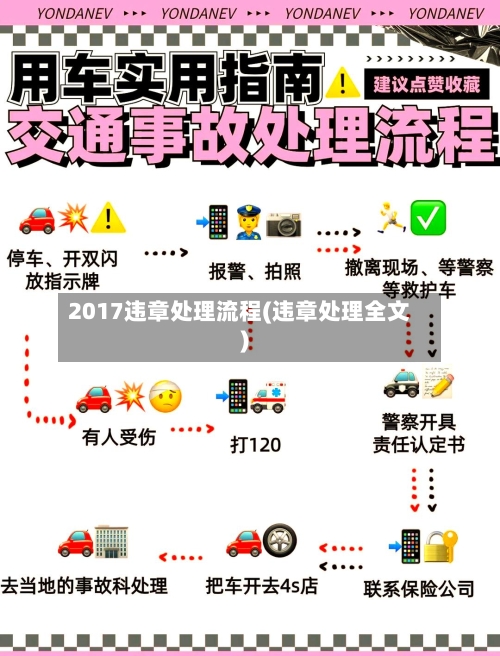 2017违章处理流程(违章处理全文)-第2张图片