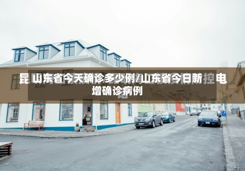 山东省今天确诊多少例/山东省今日新增确诊病例-第2张图片