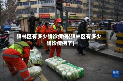 碑林区有多少确诊病例(碑林区有多少确诊病例了)
