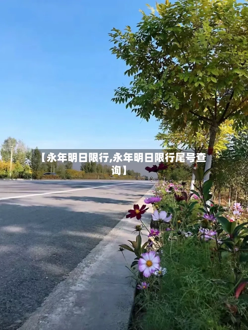 【永年明日限行,永年明日限行尾号查询】