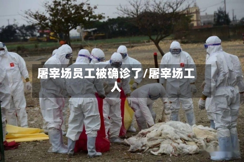 屠宰场员工被确诊了/屠宰场工人-第2张图片