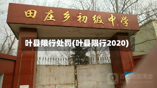 叶县限行处罚(叶县限行2020)-第3张图片