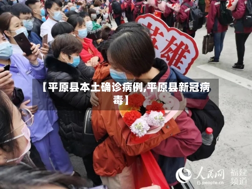 【平原县本土确诊病例,平原县新冠病毒】