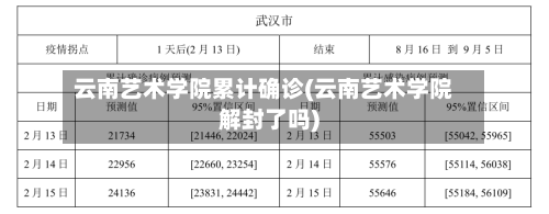 云南艺术学院累计确诊(云南艺术学院解封了吗)-第3张图片