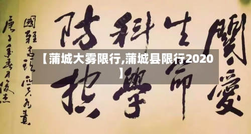 【蒲城大雾限行,蒲城县限行2020】-第3张图片