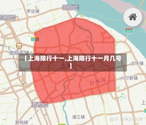 【上海限行十一,上海限行十一月几号】