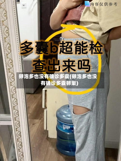 卵泡多也没有确诊多囊(卵泡多也没有确诊多囊卵巢)