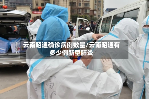 云南昭通确诊病例数量/云南昭通有多少例新型肺炎-第2张图片