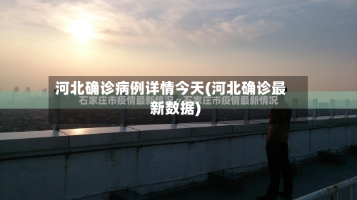 河北确诊病例详情今天(河北确诊最新数据)-第2张图片