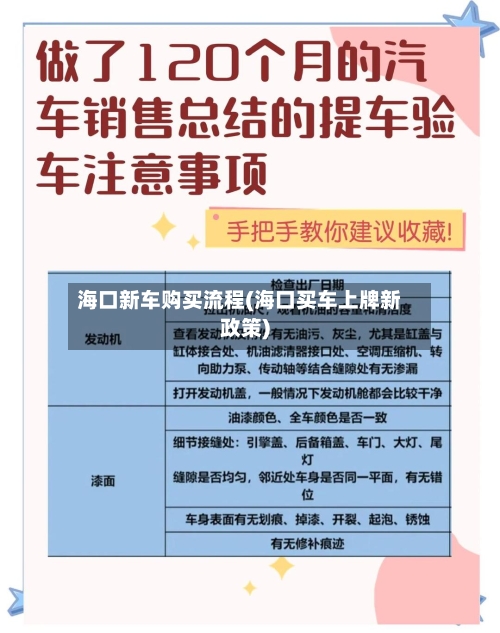海口新车购买流程(海口买车上牌新政策)