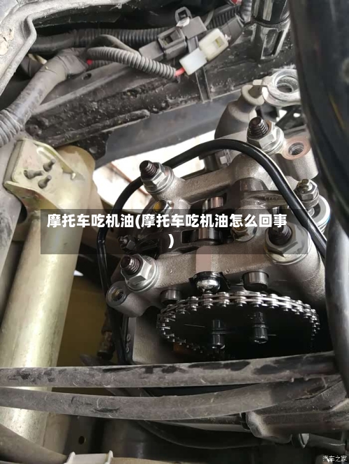 摩托车吃机油(摩托车吃机油怎么回事)-第2张图片