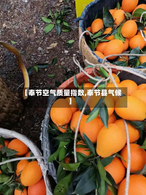 【奉节空气质量指数,奉节县气候】