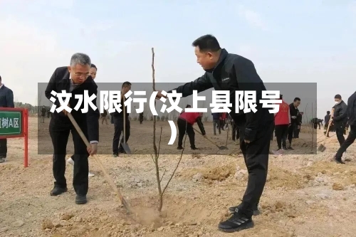 汶水限行(汶上县限号)-第2张图片